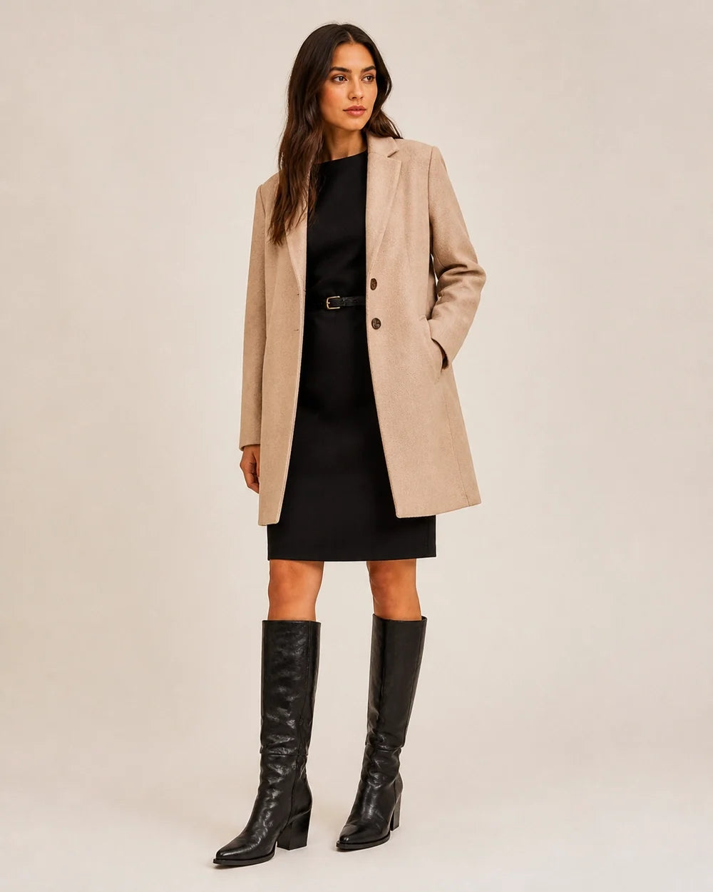 Black pointed-toe knee-high boots, silhouette view